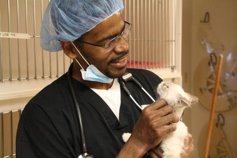 spay/neuter